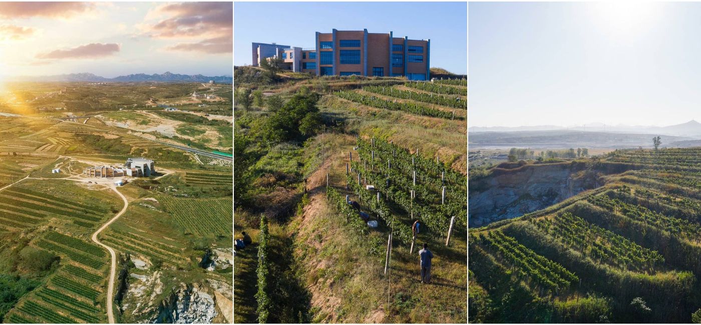 Mystic Island Winery