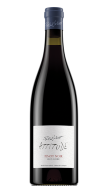 Logo for: Attitude Pinot Noir