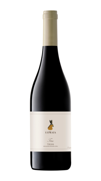 Photo for: Tirso 2024